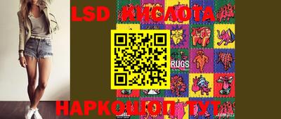 прущие крисы Новозыбков