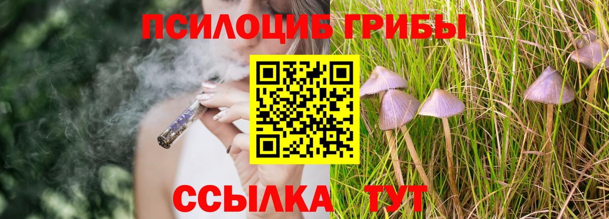 Псилоцибиновые грибы GOLDEN TEACHER  Галлюциногенные грибы Psilocybine cubensis  Старая Купавна  Вход с VPN 